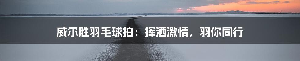 威尔胜羽毛球拍:挥洒激情,羽你同行