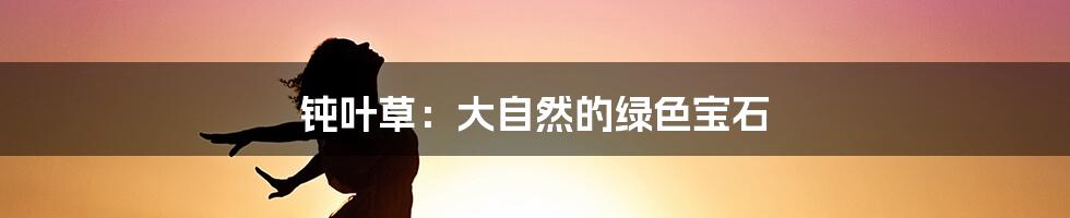 钝叶草:大自然的绿色宝石