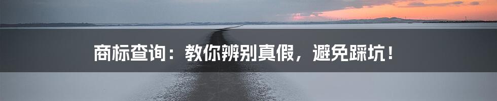 商标查询:教你辨别真假,避免踩坑!