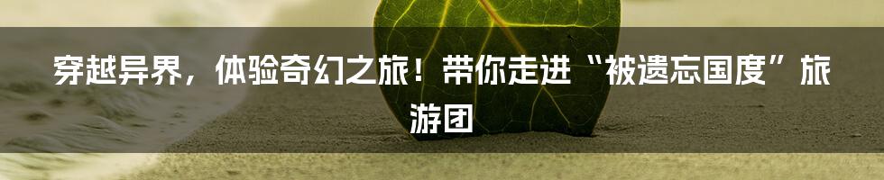 穿越异界,体验奇幻之旅!带你走进“被遗忘国度”旅游团