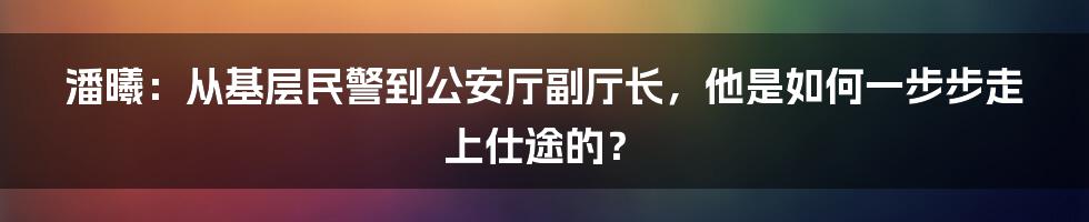 潘曦：从基层民警到公安厅副厅长，他是如何一步步走上仕途的？