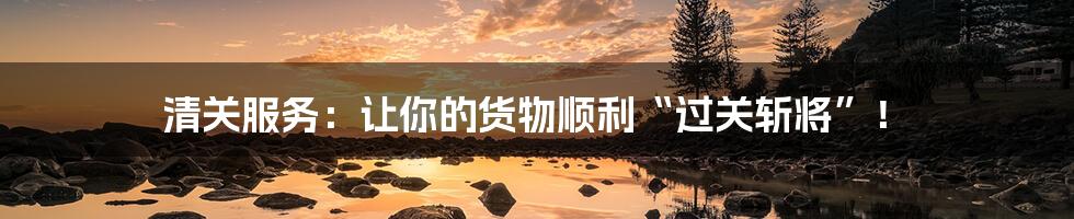 清关服务:让你的货物顺利“过关斩将”!