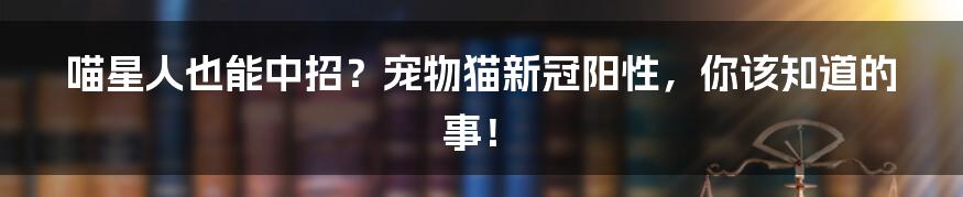 喵星人也能中招?宠物猫新冠阳性,你该知道的事!
