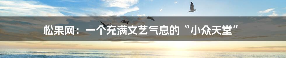 松果网:一个充满文艺气息的“小众天堂”