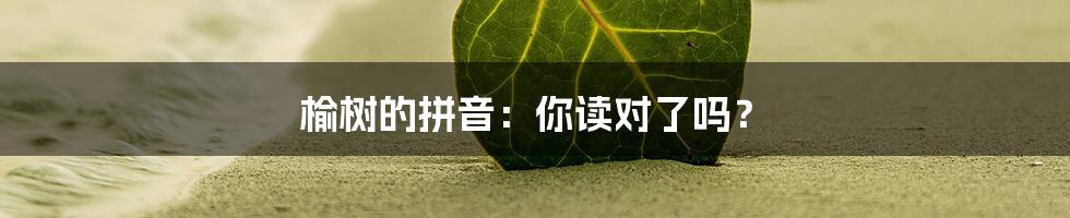 榆树的拼音：你读对了吗？