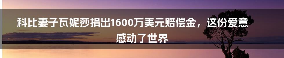 科比妻子瓦妮莎捐出1600万美元赔偿金,这份爱意感动了世界