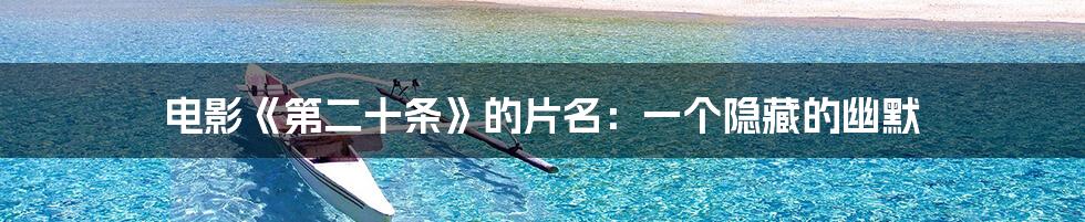 电影《第二十条》的片名:一个隐藏的幽默