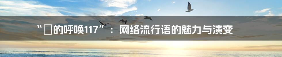 “囧的呼唤117”：网络流行语的魅力与演变