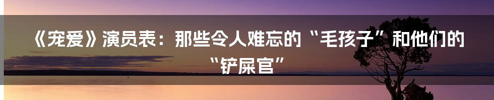 《宠爱》演员表:那些令人难忘的“毛孩子”和他们的“铲屎官”