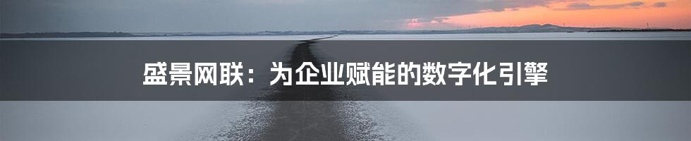 盛景网联：为企业赋能的数字化引擎