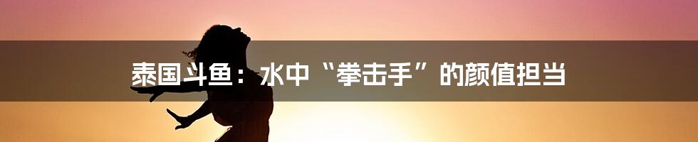 泰国斗鱼：水中“拳击手”的颜值担当