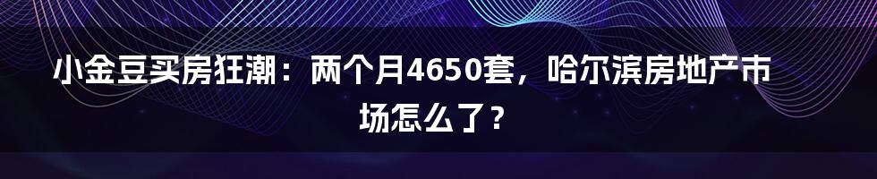 小金豆买房狂潮:两个月4650套,哈尔滨房地产市场怎么了?