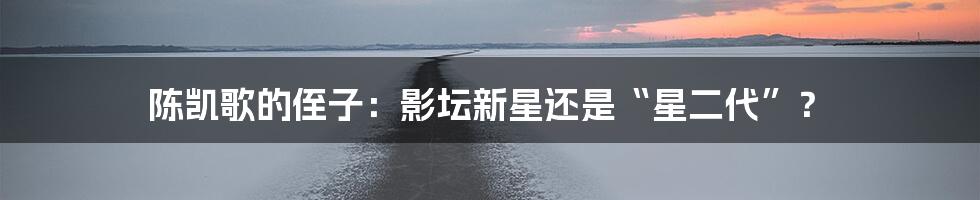 陈凯歌的侄子：影坛新星还是“星二代”？