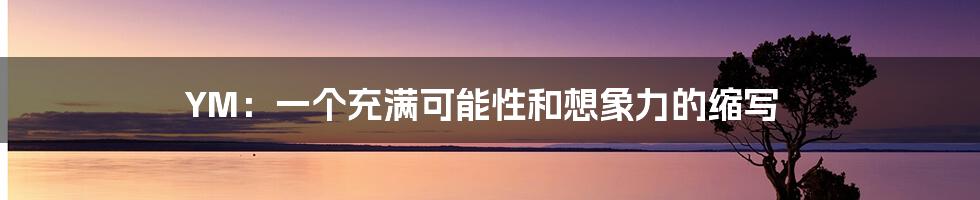 YM:一个充满可能性和想象力的缩写