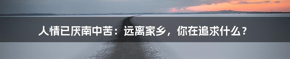 人情已厌南中苦:远离家乡,你在追求什么?
