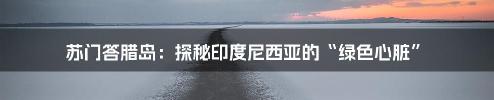 苏门答腊岛:探秘印度尼西亚的“绿色心脏”