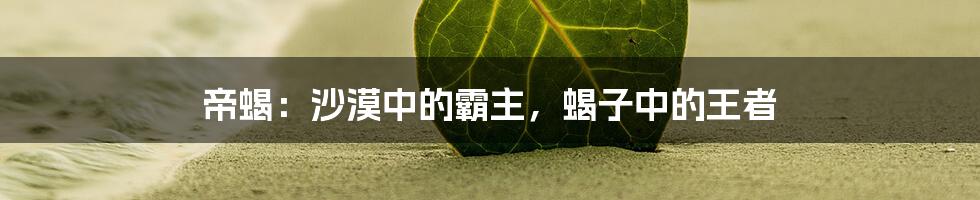 帝蝎:沙漠中的霸主,蝎子中的王者