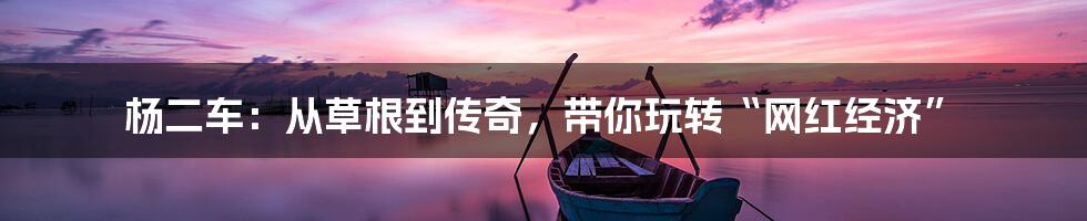 杨二车:从草根到传奇,带你玩转“网红经济”