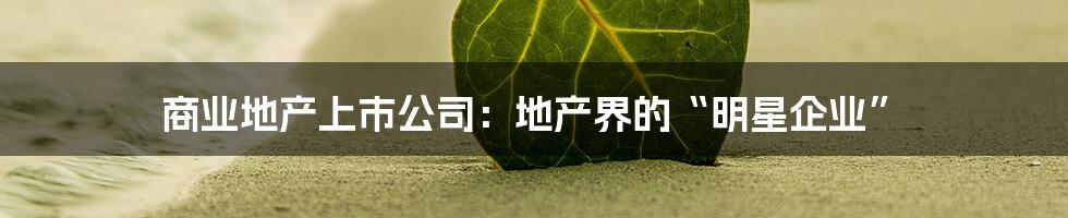 商业地产上市公司:地产界的“明星企业”