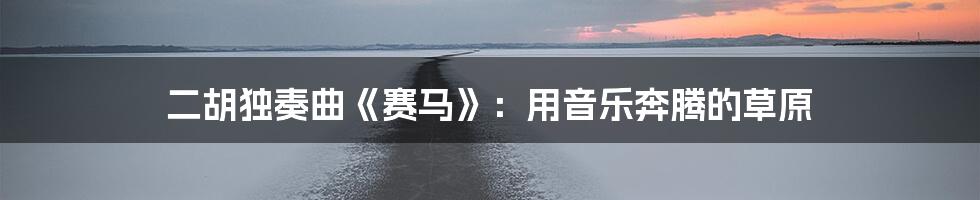 二胡独奏曲《赛马》:用音乐奔腾的草原