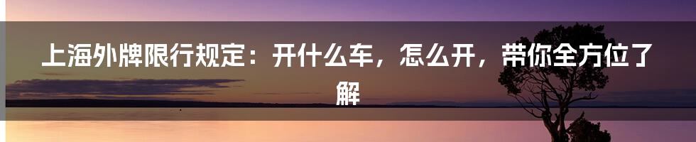 上海外牌限行规定:开什么车,怎么开,带你全方位了解