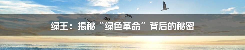 绿王:揭秘“绿色革命”背后的秘密