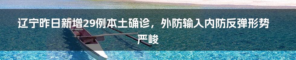 辽宁昨日新增29例本土确诊,外防输入内防反弹形势严峻