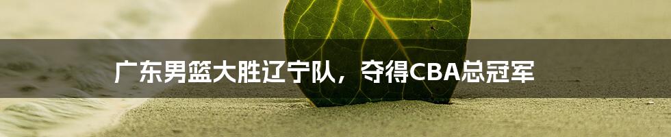 广东男篮大胜辽宁队,夺得CBA总冠军