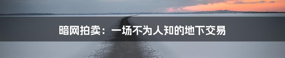 暗网拍卖:一场不为人知的地下交易