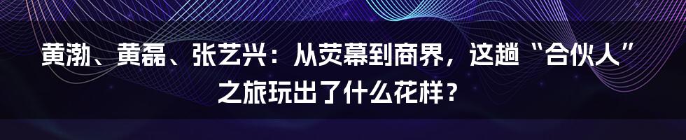 黄渤、黄磊、张艺兴:从荧幕到商界,这趟“合伙人”之旅玩出了什么花样?