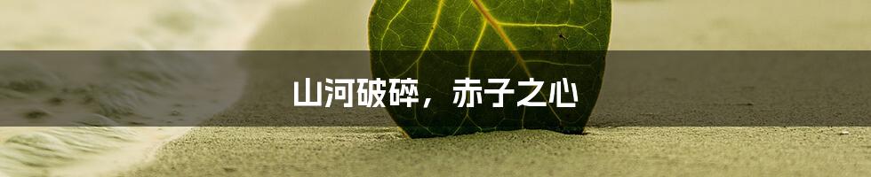 山河破碎,赤子之心