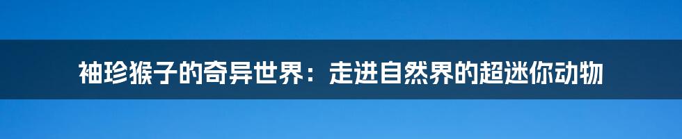 袖珍猴子的奇异世界：走进自然界的超迷你动物