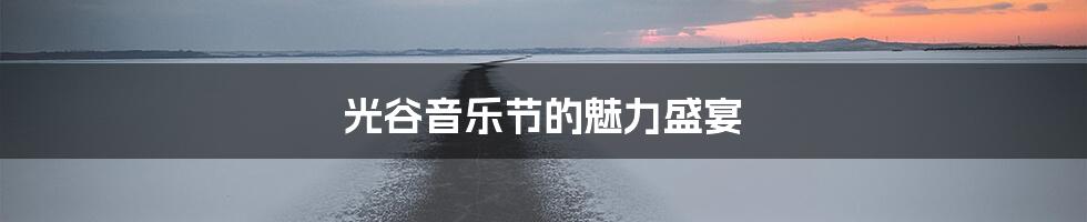 光谷音乐节的魅力盛宴