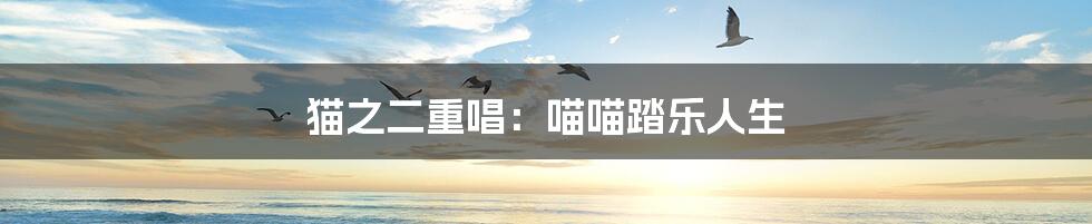 猫之二重唱：喵喵踏乐人生
