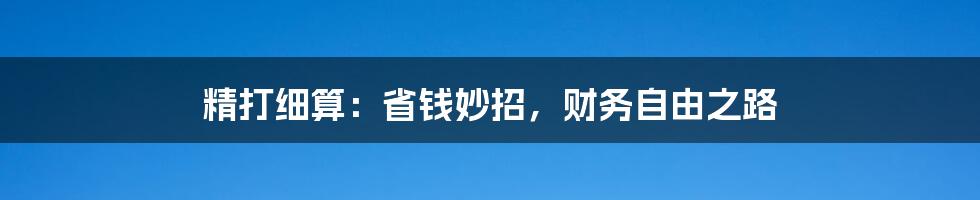 精打细算:省钱妙招,财务自由之路