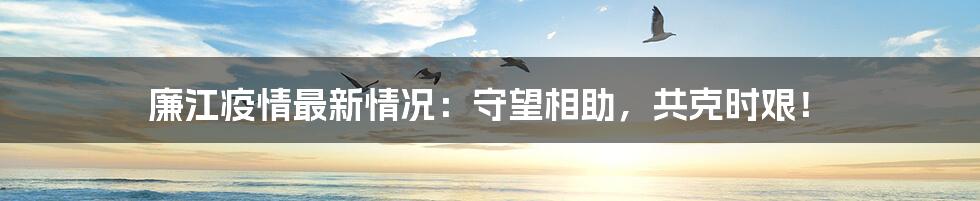 廉江疫情最新情况:守望相助,共克时艰!