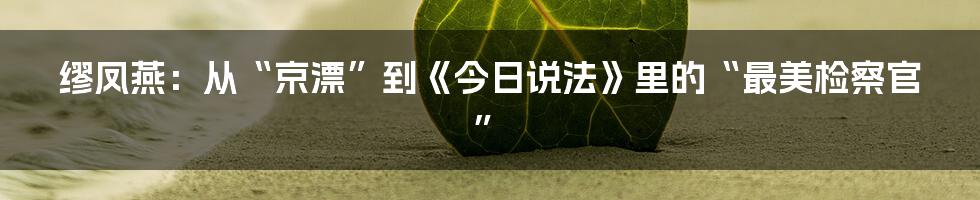 缪凤燕：从“京漂”到《今日说法》里的“最美检察官”