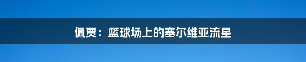 佩贾:篮球场上的塞尔维亚流星