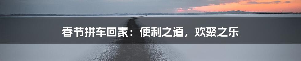 春节拼车回家:便利之道,欢聚之乐