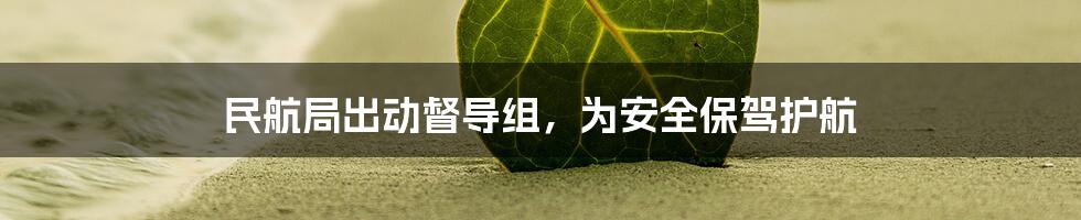 民航局出动督导组，为安全保驾护航