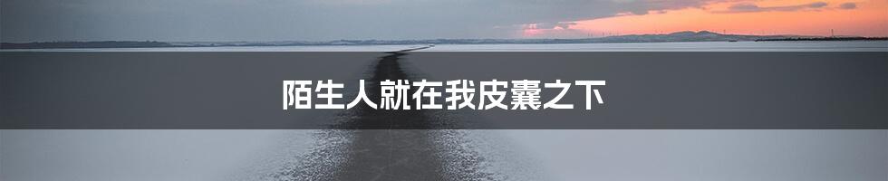 陌生人就在我皮囊之下