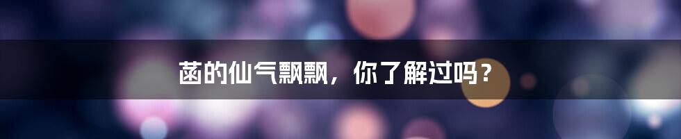 菡的仙气飘飘,你了解过吗?