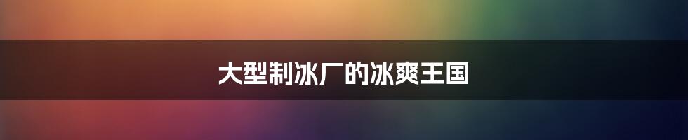 大型制冰厂的冰爽王国