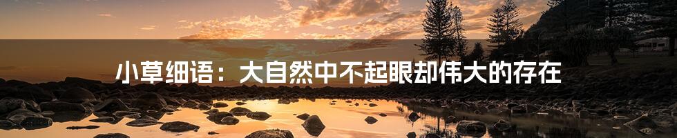 小草细语:大自然中不起眼却伟大的存在