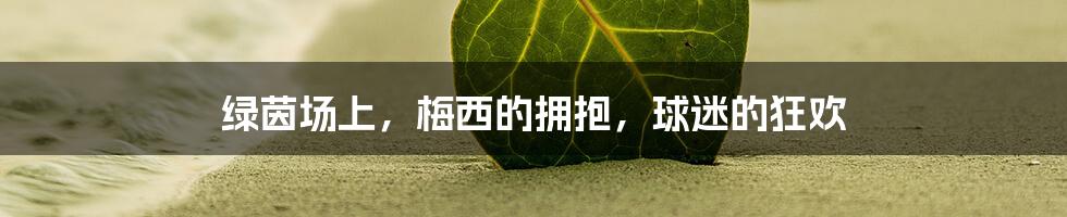 绿茵场上，梅西的拥抱，球迷的狂欢