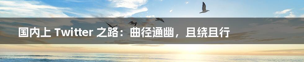 国内上 Twitter 之路:曲径通幽,且绕且行