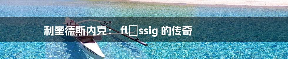 利奎德斯内克: flüssig 的传奇