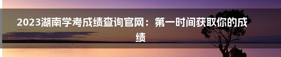 2023湖南学考成绩查询官网:第一时间获取你的成绩