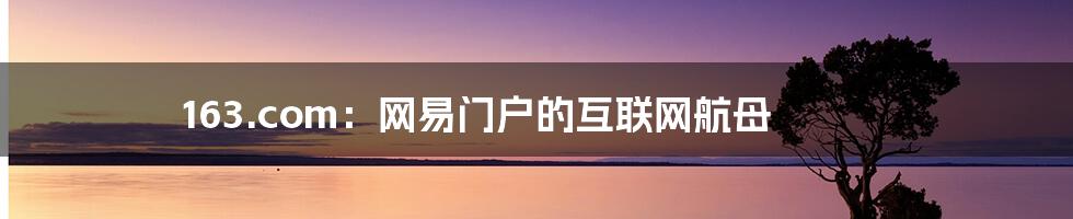 163.com：网易门户的互联网航母