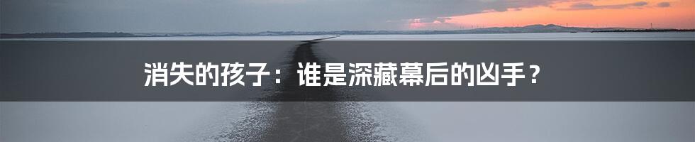 消失的孩子:谁是深藏幕后的凶手?